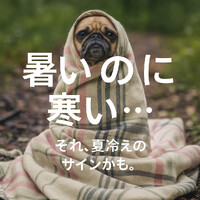 画像268