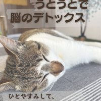 画像279