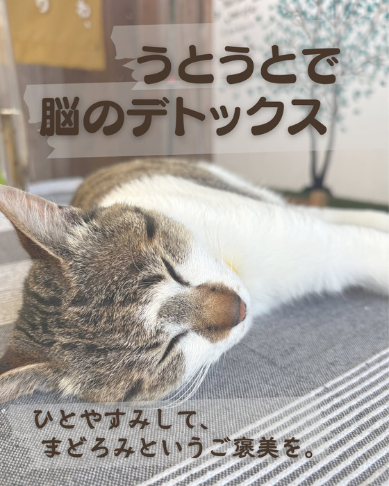 画像279