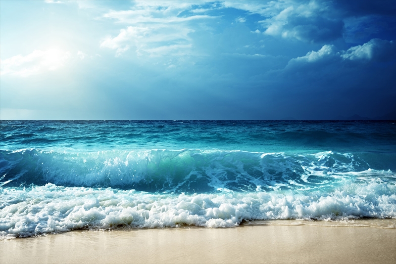 low_bg6